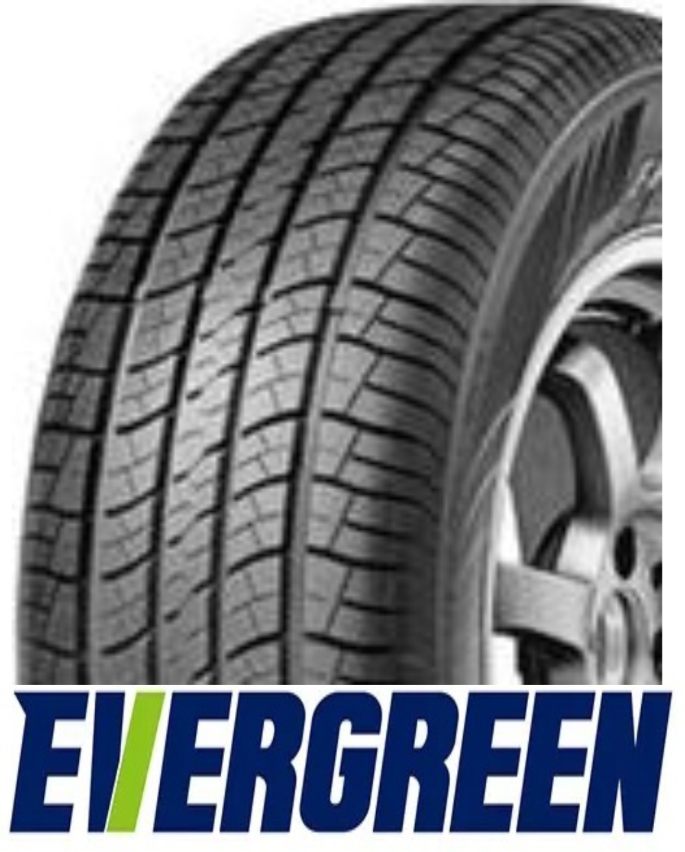 225/60 R17 ES83 99H EVERGREEN